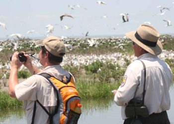 Comprar Un Suavizador De Agua Y Apoyar El Turismo Natural En México